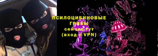 гидропоника Бородино